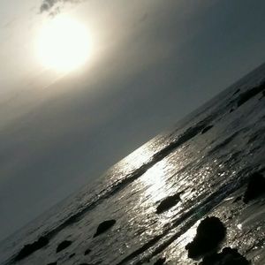 Meet your Posher, Ariel